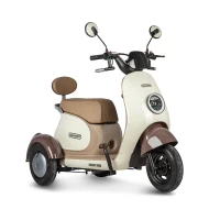 Электротрицикл Rutrike Gelbert Ogma 48V/60V 650Вт Бело-коричневый